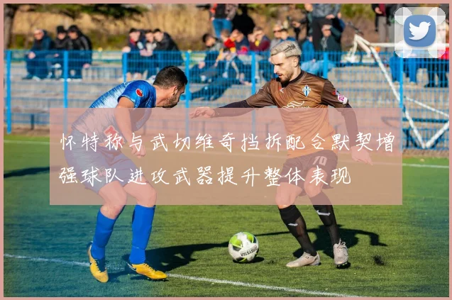 怀特称与武切维奇挡拆配合默契增强球队进攻武器提升整体表现