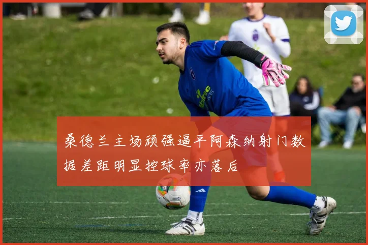 桑德兰主场顽强逼平阿森纳射门数据差距明显控球率亦落后