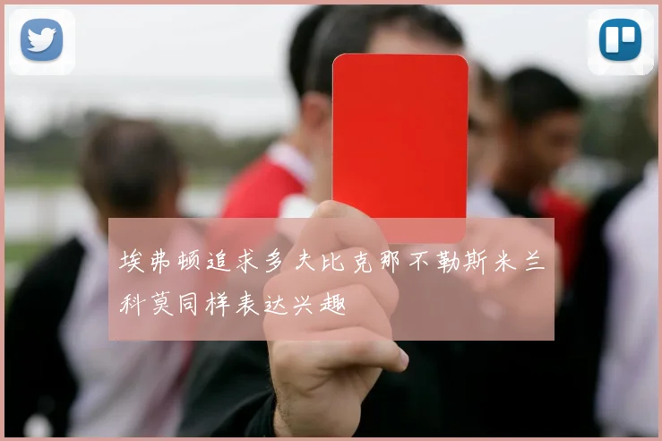 埃弗顿追求多夫比克那不勒斯米兰科莫同样表达兴趣