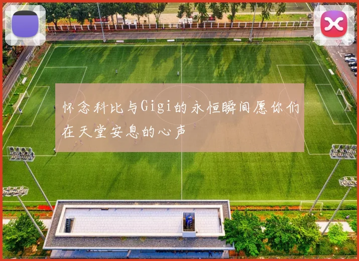 怀念科比与Gigi的永恒瞬间愿你们在天堂安息的心声