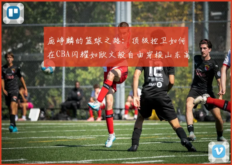 庞峥麟的篮球之路：顶级控卫如何在CBA闪耀如欧文般自由穿梭山东高速